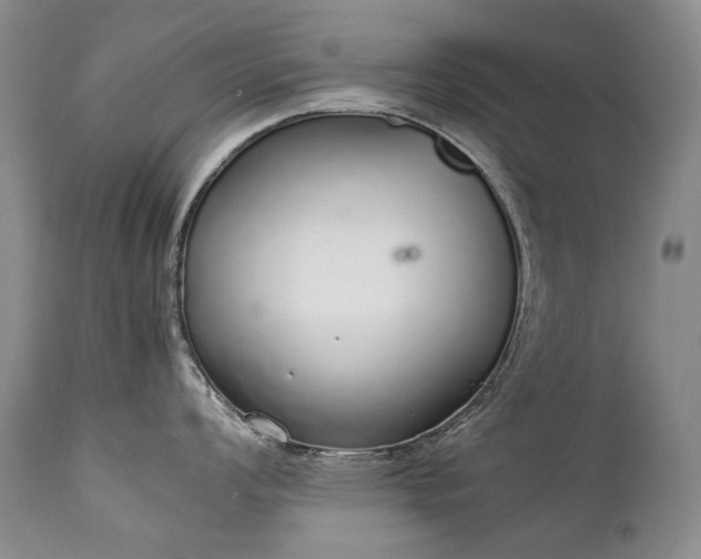 X0000111451008200907131325
