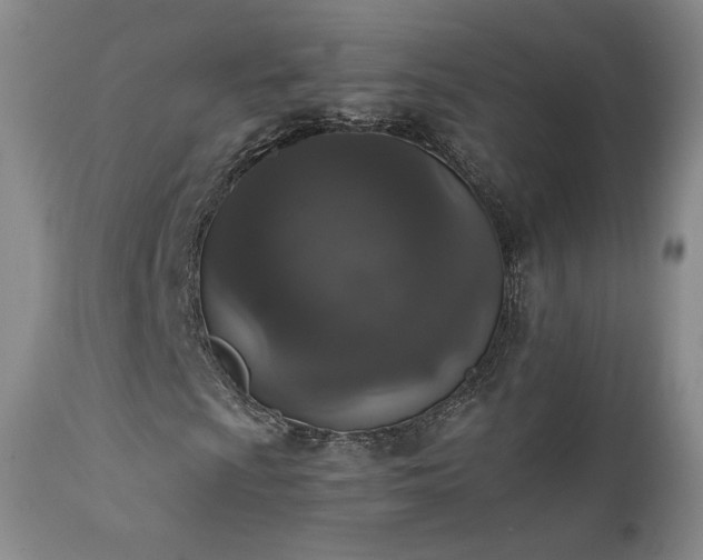 X0000111451009200907131324