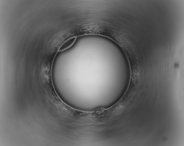 X0000111451010200907131324