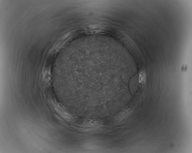 X0000111451011200907131324