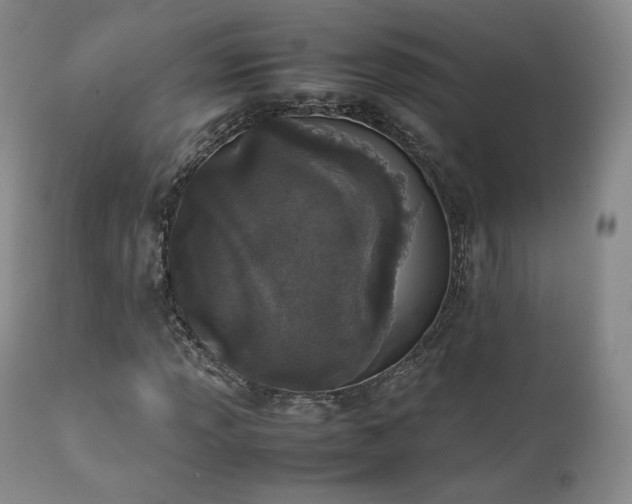 X0000111451013200907131324