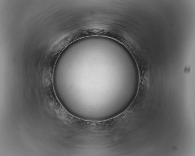 X0000111451014200907131324