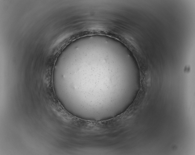 X0000111451015200907131324