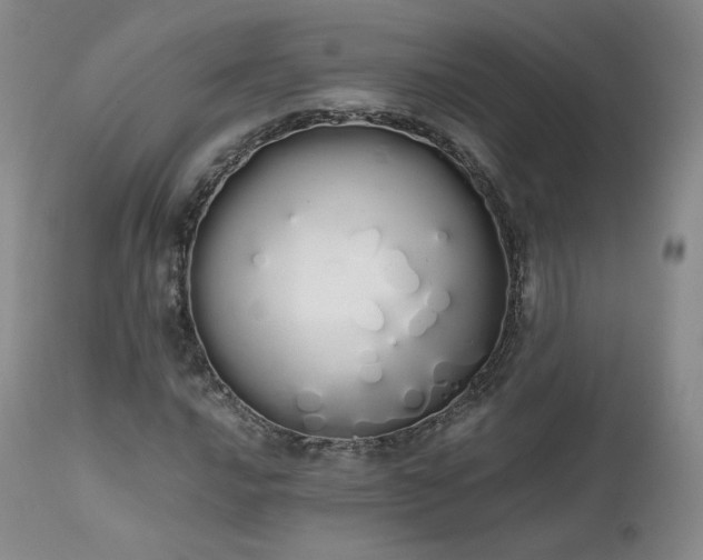 X0000111451016200907131324