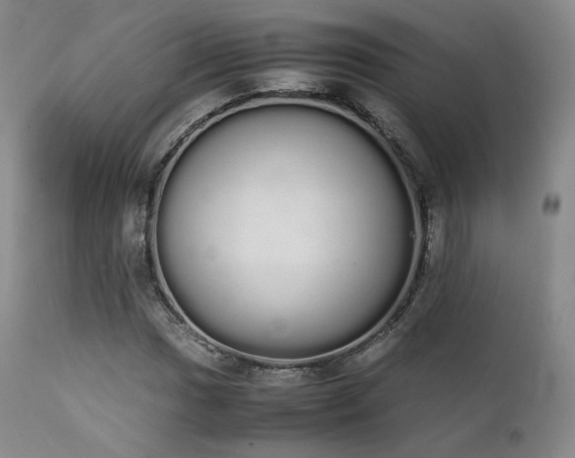 X0000111451017200907131324