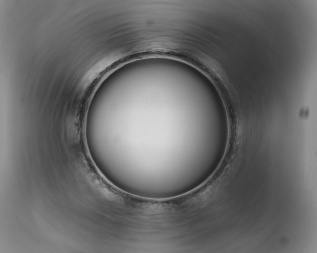 X0000111451018200907131324