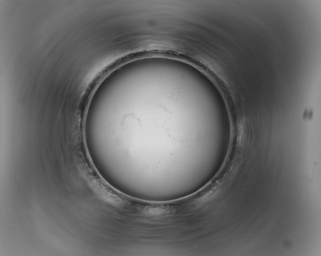 X0000111451021200907131324
