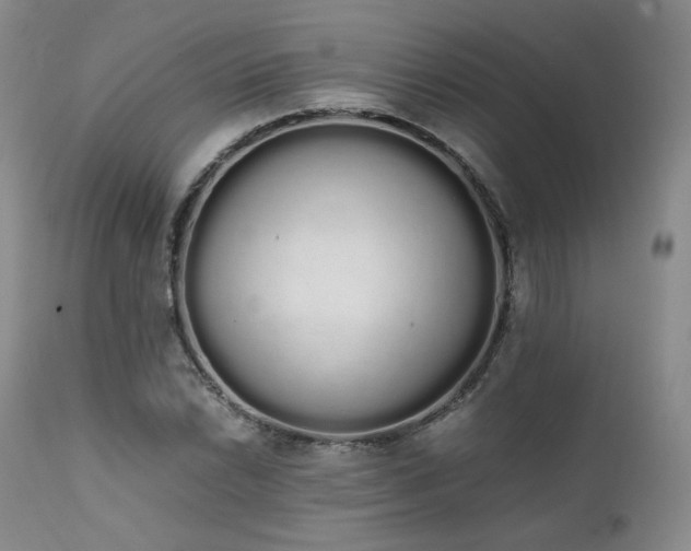 X0000111451022200907131324