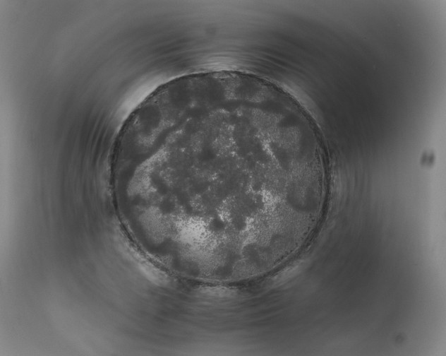X0000111451023200907131324