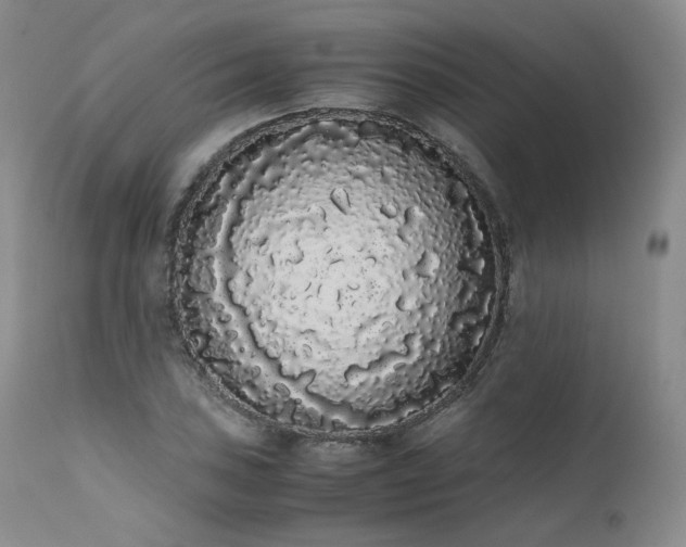 X0000111451027200907131324