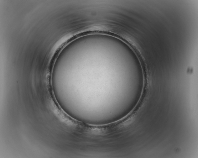 X0000111451029200907131324
