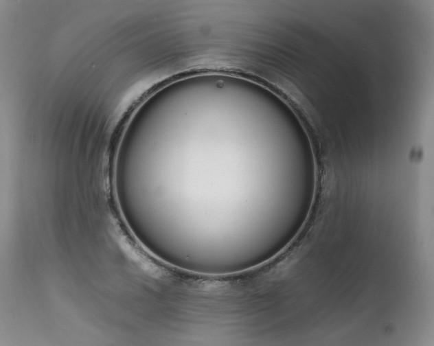 X0000111451030200907131324