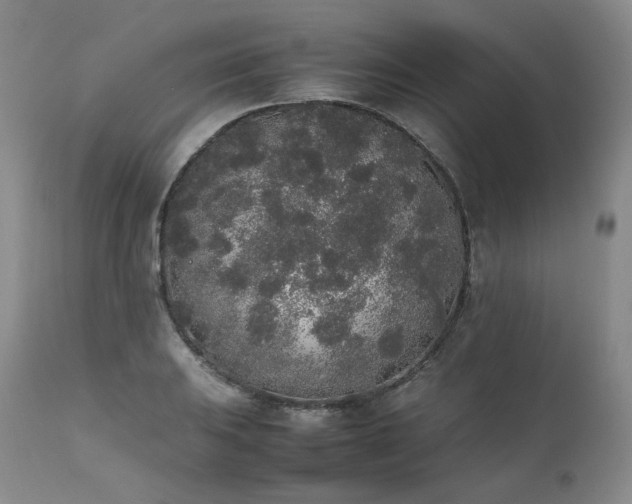 X0000111451031200907131324