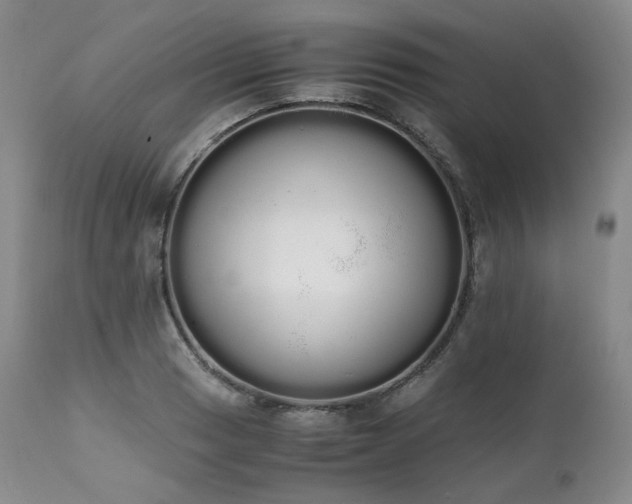 X0000111451033200907131324