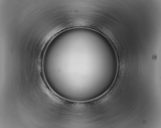 X0000111451034200907131324