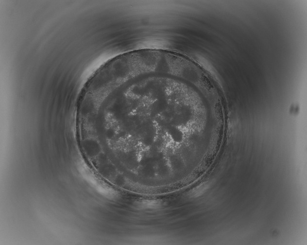 X0000111451035200907131324