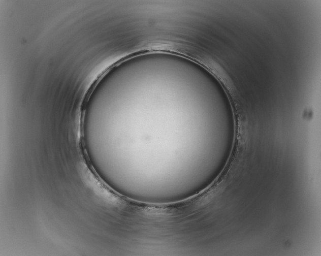 X0000111451036200907131324