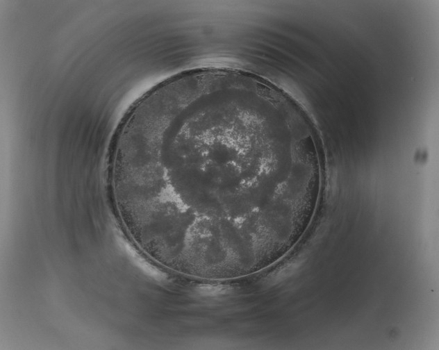 X0000111451037200907131324