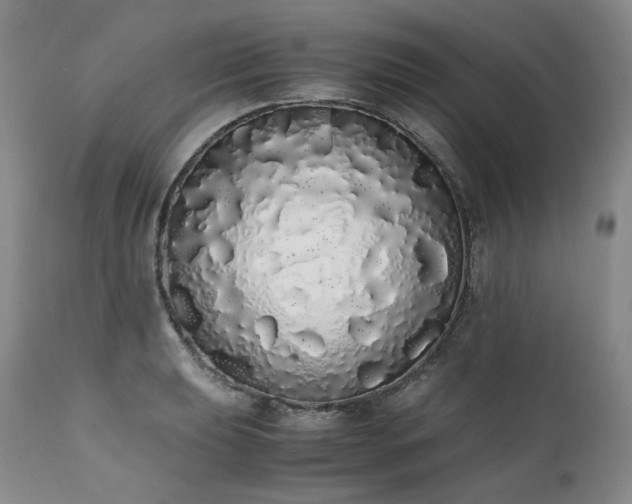 X0000111451039200907131324