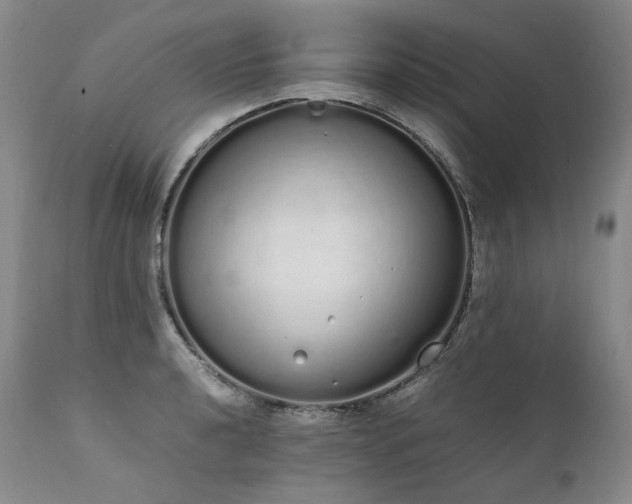 X0000111451040200907131324