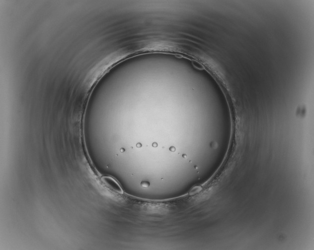 X0000111451041200907131324