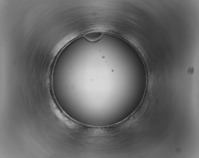 X0000111451042200907131324