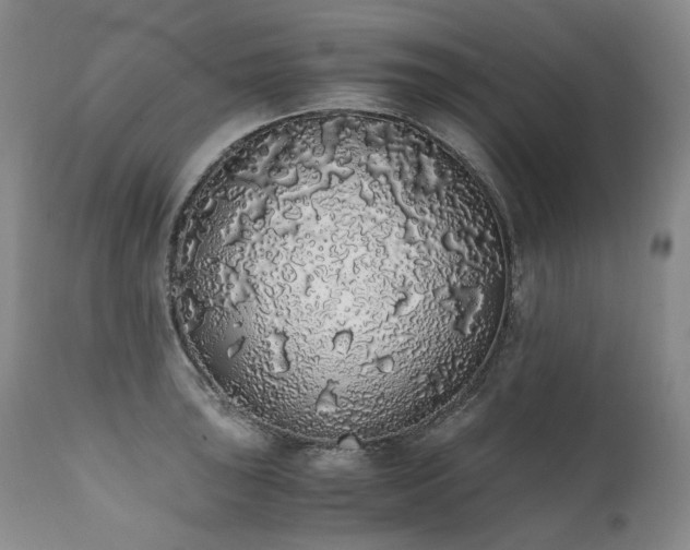 X0000111451043200907131324
