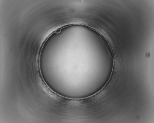 X0000111451044200907131324