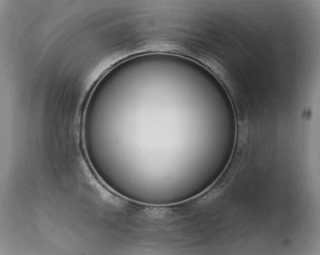 X0000111451046200907131325