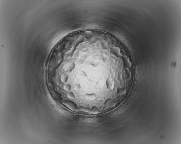 X0000111451047200907131325