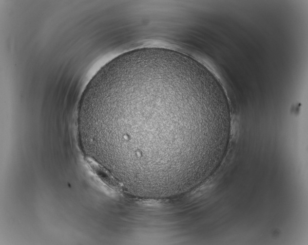 X0000111451048200907131325