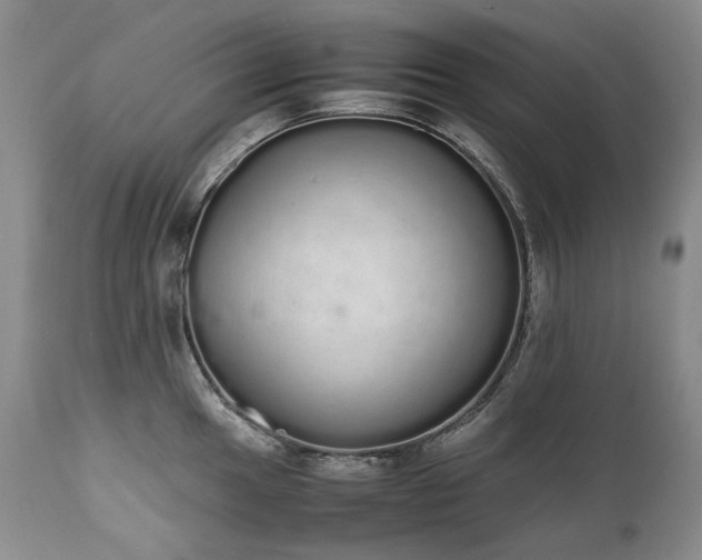 X0000111451049200907131325