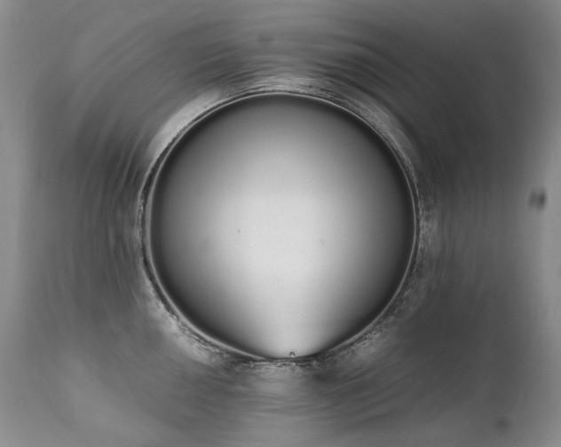 X0000111451050200907131325