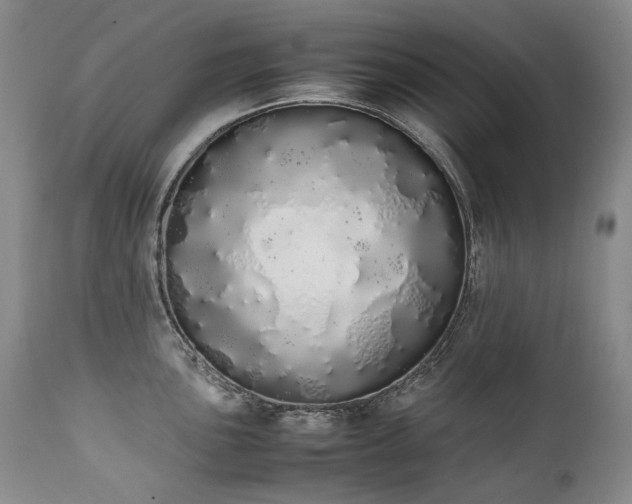 X0000111451051200907131325