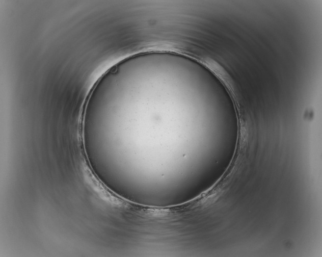 X0000111451052200907131325