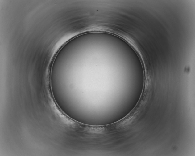 X0000111451053200907131325