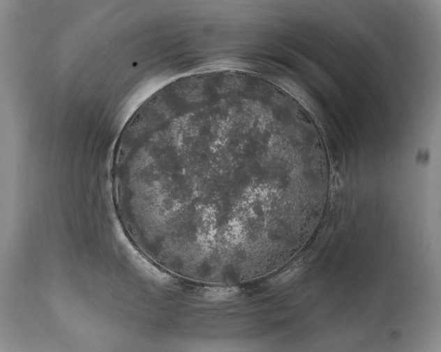 X0000111451055200907131325
