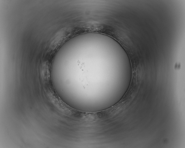 X0000111451058200907131324