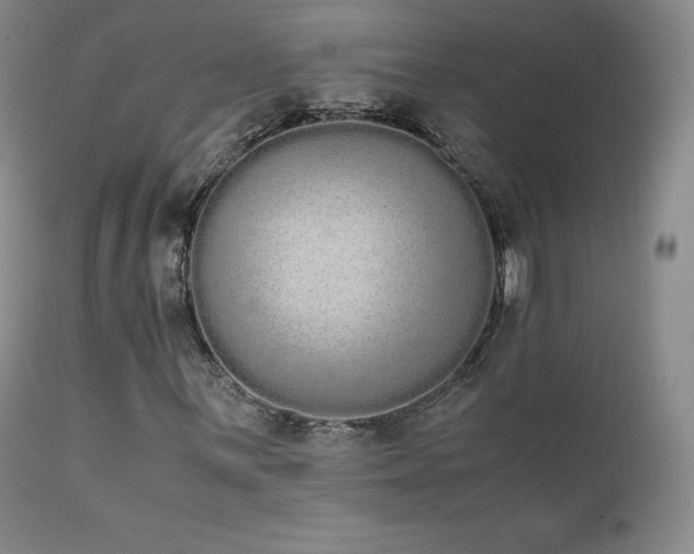 X0000111451059200907131324