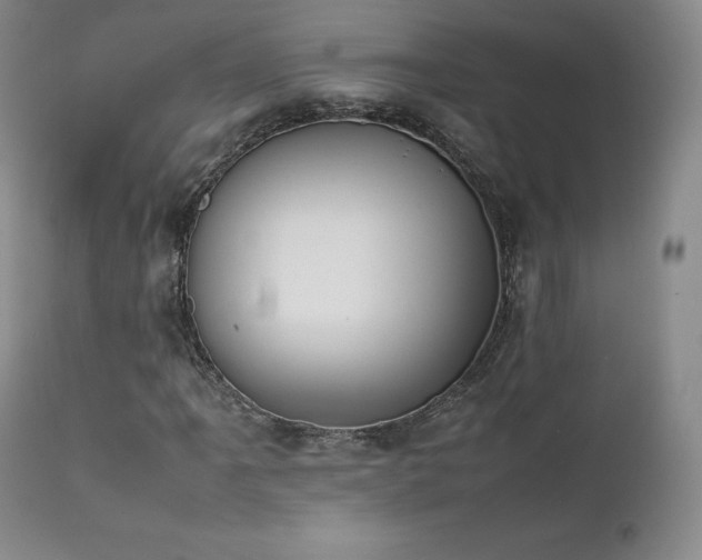 X0000111451061200907131324