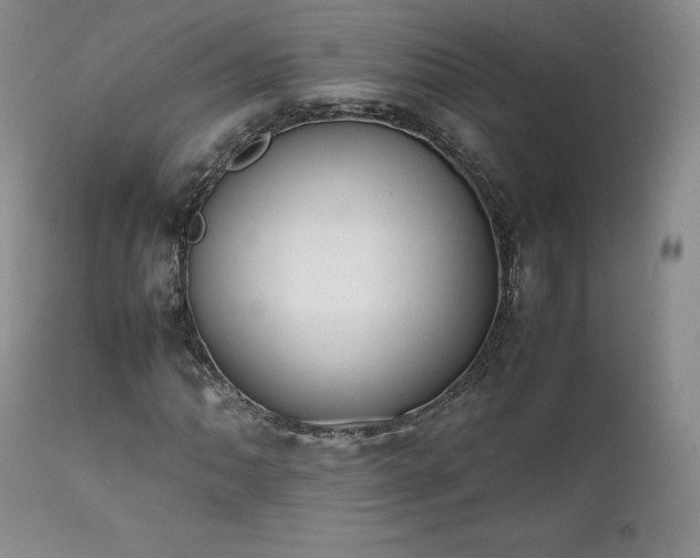X0000111451062200907131324