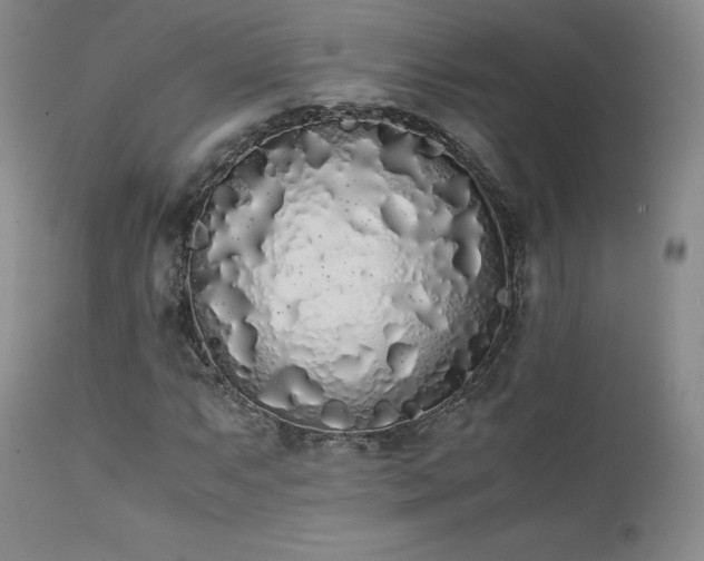 X0000111451063200907131324
