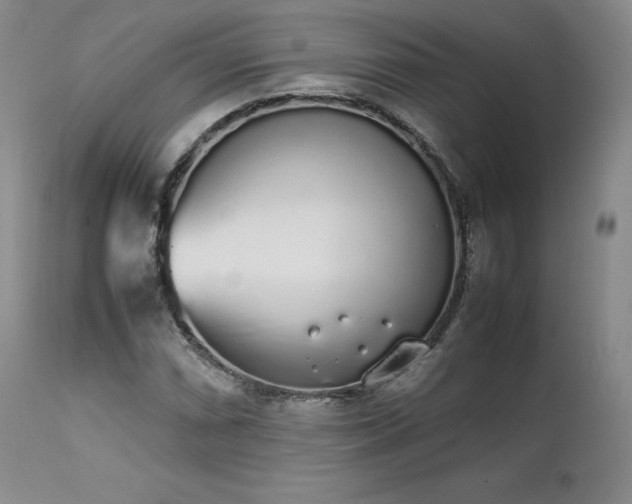 X0000111451066200907131324