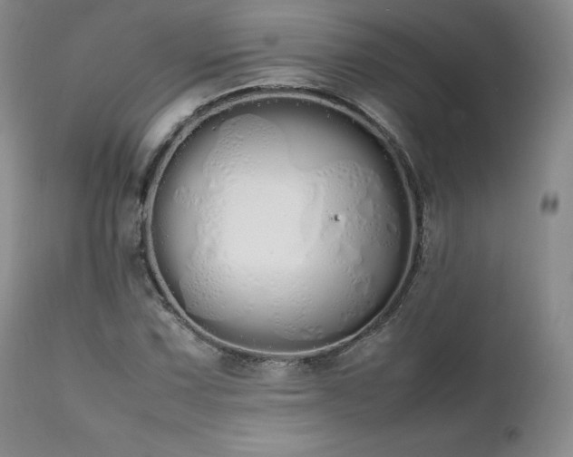 X0000111451067200907131324