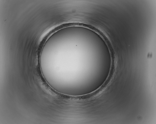 X0000111451069200907131324