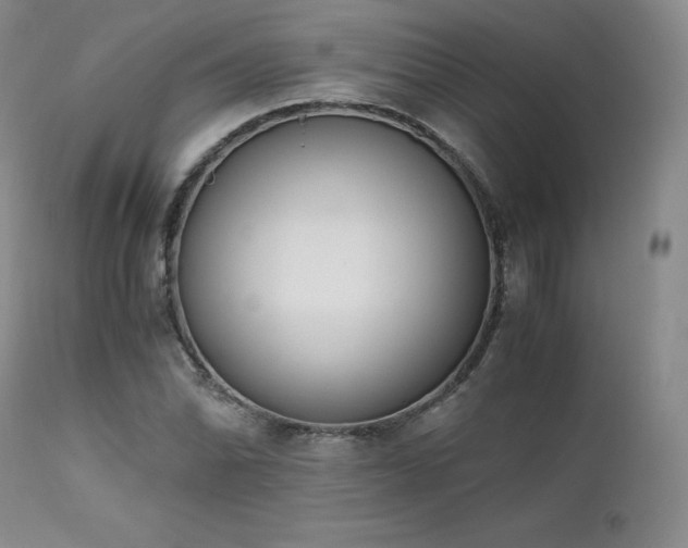 X0000111451070200907131324