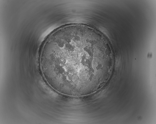 X0000111451071200907131324