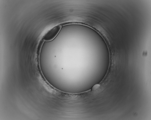 X0000111451072200907131324