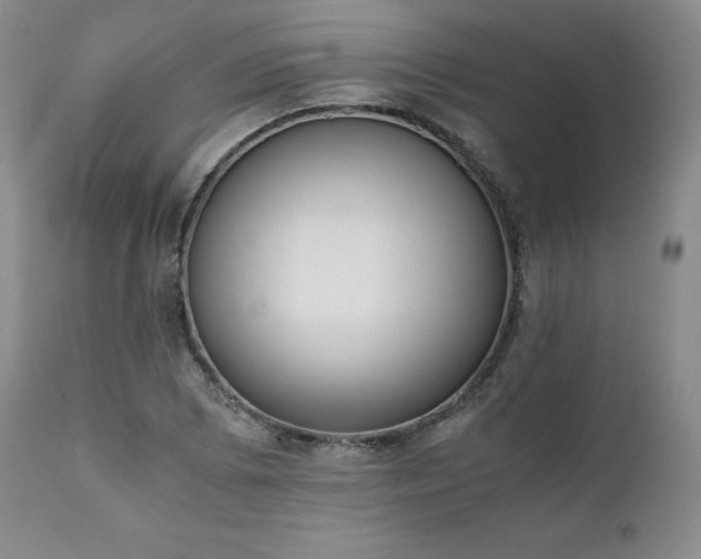 X0000111451073200907131324