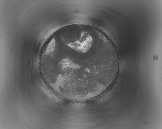 X0000111451074200907131324